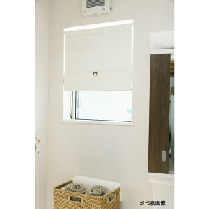 �t���l�X �R�[�h���X�V�F�[�h �X���o�[ �Ռ��i�`������ 90×160cm L6170 �y���[�J�[�����E����s�E�u�z�s�E�z���n�����z