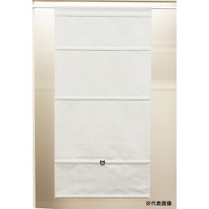 �t���l�X �R�[�h���X�V�F�[�h �X���o�[ �Ռ��A�C�{���[ 30×120cm L6221 �y���[�J�[�����E����s�E�u�z�s�E�z���n�����z
