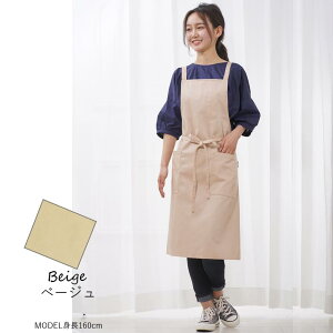 Gv  ۈm JtFGv 킢 傫TCY O Vv n obNNX  ubN k lCr[  fB[X Y jp y Ǝ Lb` et 