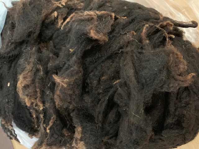 フェアアイルで有名なイギリス シェットランド島 から 毛刈りしたままの汚毛です グリージーウール シェットランド 黒系1.58kg 紡毛 紡ぎ 手織り ウール 織機 綿 染め 供え 日本未発売 ニードル 羊毛 糸 絹 フェルト