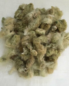 Rbg(t)Ζ 100gy I[KjbN az