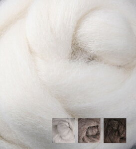 Rf[XCo[Ei`J[100g zCgECgE~fBAE_[Ny rуtFg@j[htFg  az