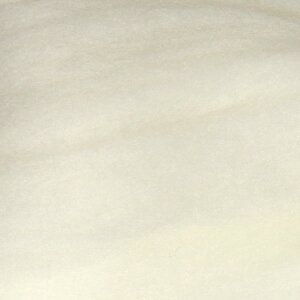 AVtH[h |XXCo[100gy F D rуtFg@j[htFg  az