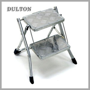 ^20N^X[p[Z[^P10{^DULTON(_g)ݑ FOLDING 2-STEPS ladder100-271 Galvanzed