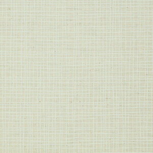 �^20���N�̊��Ӂ^�|�C���g10�{�^QUARTER REPORT(�N�H�[�^�[���|�[�g�jFabric�y�t�@�u���b�N�z�@���n�̔��i100cm�jFino �i�t�B�[�m�j�@�F�F�z���C�g