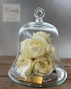 yKXh[EFfBS z@yu[PHz@yizz@yu[PۑH/ԕۑHz@yAt[/At^[u[P/{gt[z@ԂYɎc3Dh