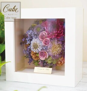 L[uXNGAzCg3D̊z u[PHyizzyu[PۑH/ԕۑHzyAt[/At^[u[P/{gt[z(ԂYɎc3DhCt