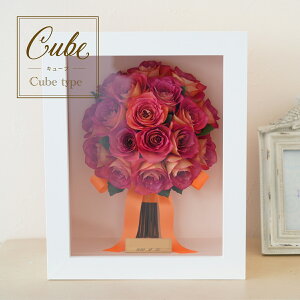 STCYzCg3D̊z u[PHyizzyu[PۑH/ԕۑHzyAt[/At^[u[P/{gt[z(ԂYɎc3DhCt[H)