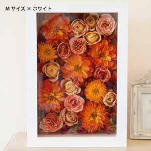 L[utBI u[PHyizzyu[PۑH/ԕۑHzyAt[/At^[u[P/{gt[z (ԂYɎc3DhCt[H) LO