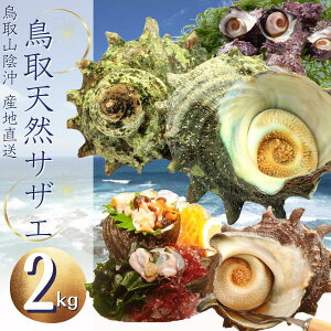 扫Yi)VRTUG v2Li傫܂j hgp RA 