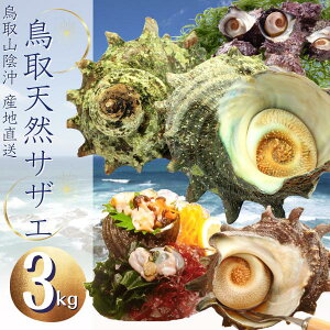 扫Yi)VRTUG v3Li傫܂j hgp RA 
