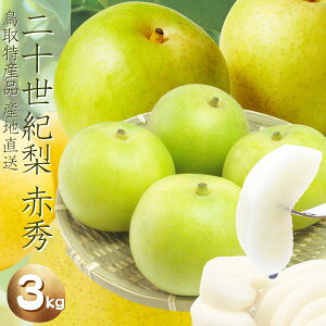挧Y \Iypz3kgl i6`16ʑOjԏG 