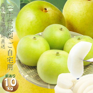 挧Y (p 󂠂j \I 10kgiM`3L@24-44O j p 󂠂