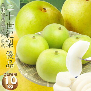 挧Y \IyDiz10kgl iM`3L 24`44jp 
