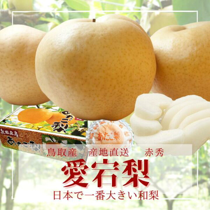 楽天市場 鳥取県産 最高級 赤秀 あたご梨 ５kg ５ ６玉 特大玉 愛宕梨 送料無料 いまる