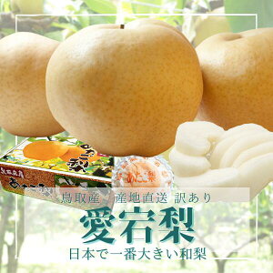 挧Y@ @󂠂@傫C 5kgi6[10ʑOj挧Y  