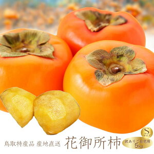 y\z挧Y Ԍ䏊`ip 󂠂 STCYj5kg ` iw^󂫗Lj Y  y2グł1i{5kgjʁIz