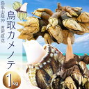 鳥取産 カメノテ 亀の手 1kg (250g×4袋) 真空パック「冷凍便」2セットご購入で1セット増量中！