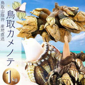 鳥取産 カメノテ 亀の手 1kg (250g×4袋) 真空パック「冷凍便」2セットご購入で1セット増量中！