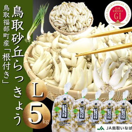 楽天市場】 鳥取ふくべ砂丘らっきょう : いまる