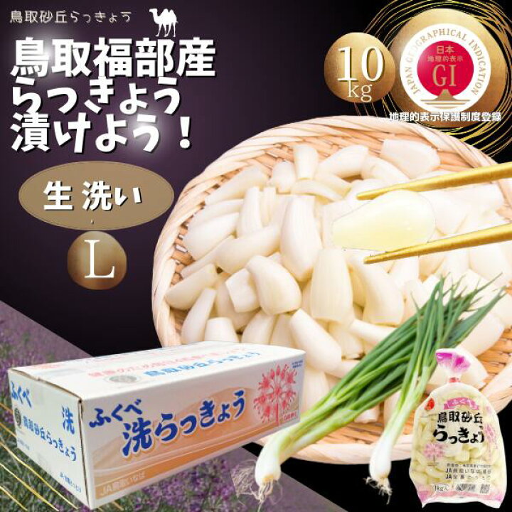 楽天市場】らっきょう JAいなばJAふくべ 「生 洗い らっきょう Lサイズ 