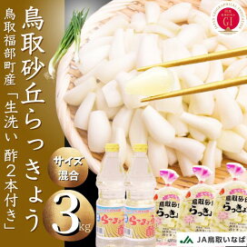 楽天市場】 鳥取ふくべ砂丘らっきょう : いまる
