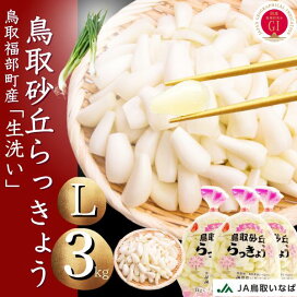 楽天市場】 鳥取ふくべ砂丘らっきょう : いまる