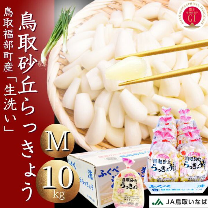 楽天市場】らっきょう JAいなばJAふくべ 「生 洗い らっきょう Mサイズ 