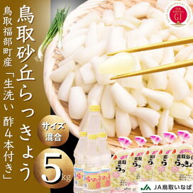 楽天市場】 鳥取ふくべ砂丘らっきょう : いまる
