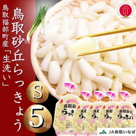 楽天市場】 鳥取ふくべ砂丘らっきょう : いまる