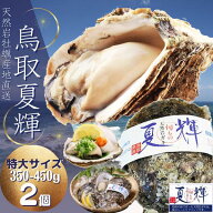 天然岩牡蠣 【夏輝】(生食用)牡蠣(活)特大350g〜450前後 ×2個セット　鳥取産 朝採れ 刺身用 送料無料(岩…