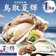 天然岩牡蠣 (活)夏輝牡蠣 1kgセット(3-6個前後) ブランド 夏輝牡蠣 鳥取産 カキ 刺身用 送料無料(岩ガキ/…