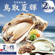 天然岩牡蠣 (活)夏輝牡蠣 2kgセット(6-12個前後) ブランド 夏輝牡蠣 鳥取産 カキ 刺身用 送料無料(岩ガキ…