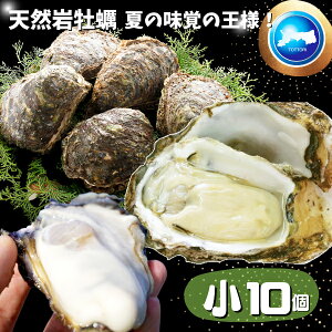 天然岩牡蠣 (活) 牡蠣 100g-150g前後 10個セット 鳥取産 岩牡蠣 カキ 刺身用 (岩ガキ/岩がき) 送料無料