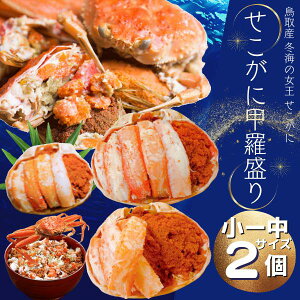 ZRKj b2 [TCY Ⓚ Hׂ₷t  Jj ZCRKj t Y }coKj