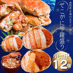 ZRKj b12 [TCY Ⓚ Hׂ₷t  Jj ZCRKj t Y }coKj