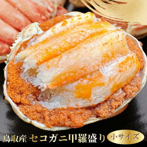 ZRKj b12 [TCY Ⓚ Hׂ₷t  Jj ZCRKj t Y }coKj