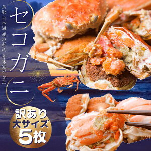 y\zRAY ZRKj 󂠂 TCY 5i1140-170gOjRAY e p ZCRKj I Jj 