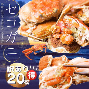 y\zRAY ZRKj Ɩp L Ղ20Zbg ZCRKj  I 󂠂 