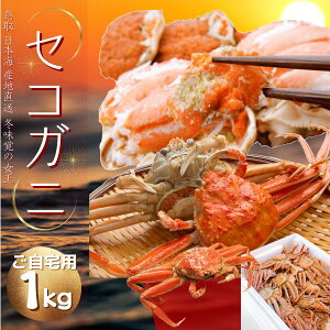 ZRKj i󂠂j  RAY e 1LO(4-9j ZCRKj