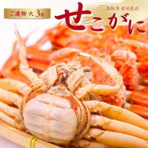 y\zRAY ZRKj i TCY 3Zbg (1140-170ggOjeKj ZCRKj  I 