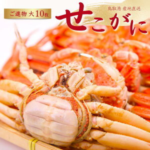 y\zRAY ZRKj i TCY 10Zbg (1140-170ggOj RAY e ZCRKj  I 