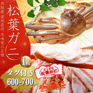 tI yuh^Otz 600`700g@1ior{Cj揼tKj Ε Jj@