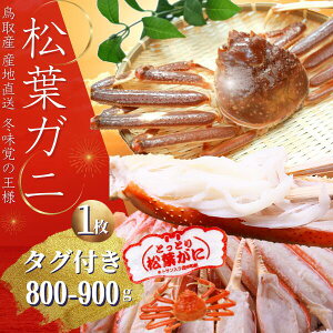 tI yuh^Otz 800`900g@1ior{Cj揼tKj Ε Jj@