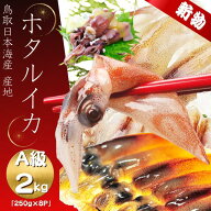 ほたるいか［2026］新物　刺身用【マイナス60℃で冷凍】（最高級品) A級品 たっぷり2キロ 250g×8パック …