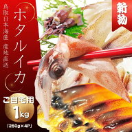 「ご予約」ご自宅用 ほたるいか 2026年 新物　刺身用不揃い【マイナス60℃で冷凍】(B級品）たっぷり1キロ…