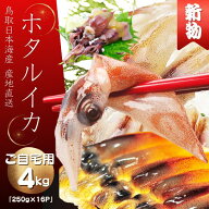 ご自宅用 ほたるいか 2026年 新物　刺身用不揃い【マイナス60℃で冷凍】(B級品）たっぷり4キロ 250g×16…