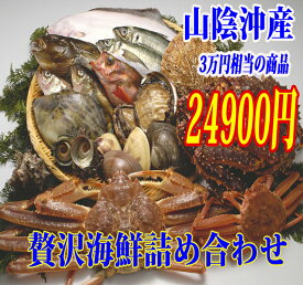 【山陰沖産】旬の朝とれ魚介類セット（貝類含む）【 産地直送の海鮮セット！≪送料無料≫