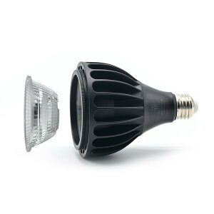 Nova �A���琬LED���C�g Aurora Glowa �g�F�n/���F�n �t���X�y�N�g�� E26����