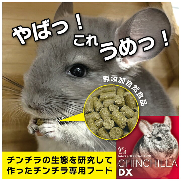 楽天市場】チンチラDX 1kg ランポオリジナル フード ペレット 餌 国産 